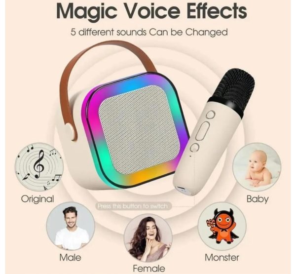2-IL BLUETOOTH SPEAKER KARAOKE