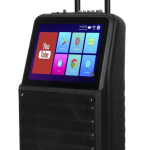 GD-1416 10İNCH 60W KARAOKE VİDEO SPEAKER