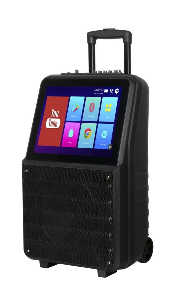 GD-1416 10İNCH 60W KARAOKE VİDEO SPEAKER