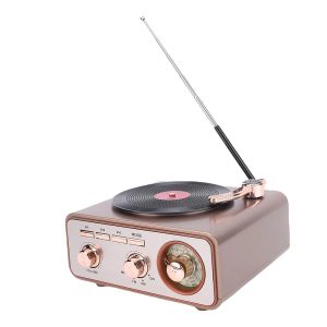 1-11 GD- Plyisty Bluetooth hoparlörlü Retro Taşınabilir Radyo, AM FM SW, 1200mAh şarj Edilebilir Pille çalıştırılan, Ev, Mutfak, Ofis Için Vintage Dekorasyon (SILVER)